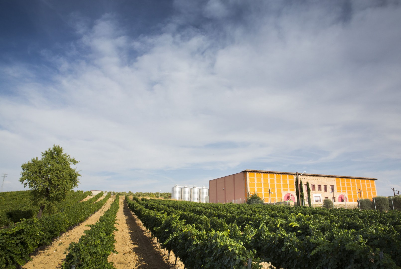 Pagos del Rey Bodega de Rueda