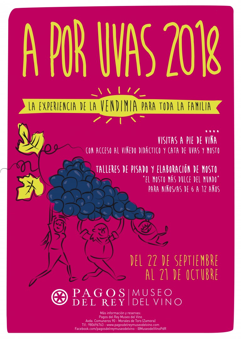 a por uvas 2018 museo del vino