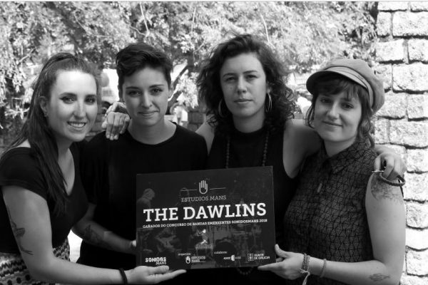 the dawlins